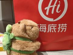 -海底捞火锅(河东万达广场店)
