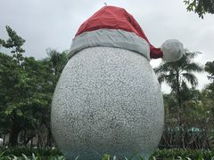 -100蛋泥浆浴