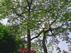 -晓港公园