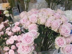 -花屿鲜花(淡水店)