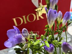 -DIOR迪奥(德基广场女装店)