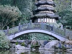 -深圳国际园林花卉博览园