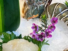 -Mr.Fish鱼鲜生海鲜放题(高德置地冬广场店)