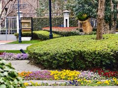 -思南公馆商业街