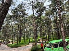 -承德避暑山庄景区