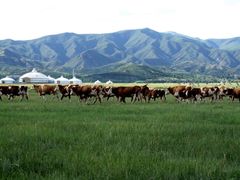 -敕勒川草原文化旅游区