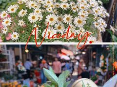 -循礼门鲜花花市(武汉循礼门店)