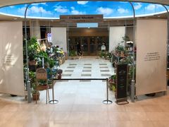 -乐天免税店(明洞店)