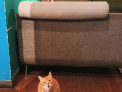 -默迹咖啡馆