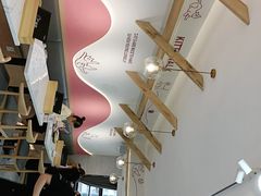 -喵园·猫主题咖啡厅·撸猫·猫咖(国贸店)