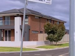 -墨尔本皇家植物园