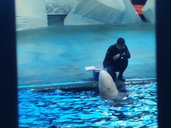 -福州罗源湾海洋世界旅游区