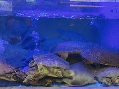 -王捌小院(红花坡店)