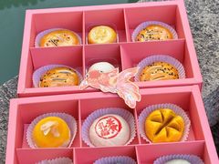 -乾芝斋·苏式糕点·碧螺春茶酥(平江路店)