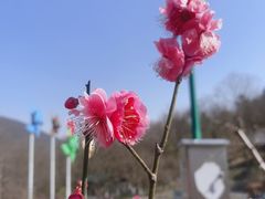 -老山国家森林公园