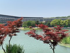 -上海佘山世茂艾美酒店