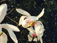 -艾溪湖湿地公园