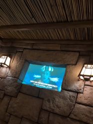 -翱翔飞越地平线