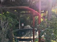 -夏津德百度假村温泉