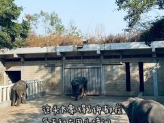 -深圳野生动物园