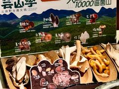 -芸山季·云南山珍菌火锅(人民广场来福士店)