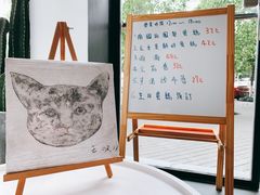 -猫里有甜