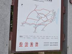 -铁山坪森林公园
