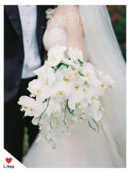 -琥珀婚礼策划AMBER WEDDING