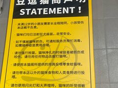 -豆逗聊愈猫阁Easy Life