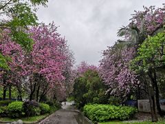 -柳州市动物园