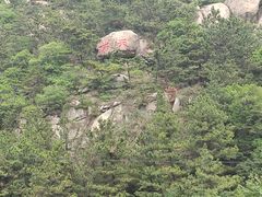 -青岛崂山太清宫