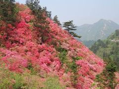 -木兰云雾山