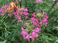 -长春公园(普阳街道)