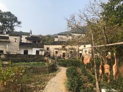 景点-塔川景区