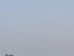 -上海月湖雕塑公园
