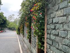 -广州市白云山风景名胜区