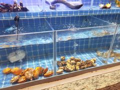 -厦门宝龙铂尔曼大酒店·海鲜自助餐厅