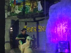 -清迈夜间动物园