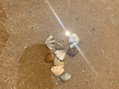 -青岛银沙滩