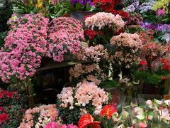 -双季花艺园艺市场(浦东店)