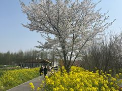 -柳鹭田园区