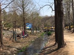-白水寺森林公园