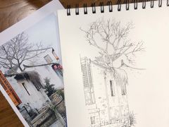 -青沐画室·专业美术培训