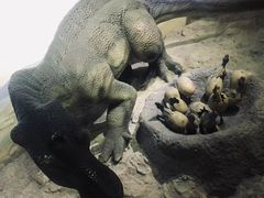 -国家自然博物馆