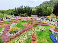 -深圳仙湖植物园