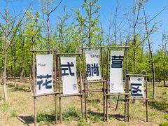 -北京凤凰岭