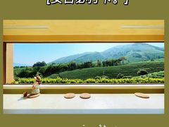 -白茶原·一片叶子