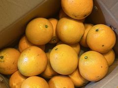 -安徽饭店