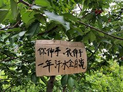 -萝卜寨羌文化生态旅游区