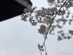 -堤角公园